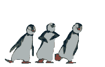 /Files/images/Пингвины.gif